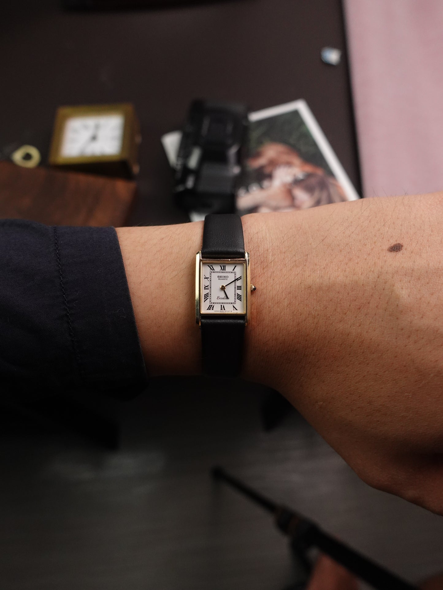 Seiko Exceline Roman Numeral SGP30 Case 8420-5540
