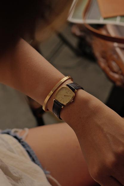 Seiko Exceline Cushion T-lugs Circa. 1981