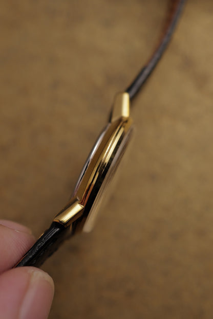 Omega Geneve "Glit Dial" Circa. 1970